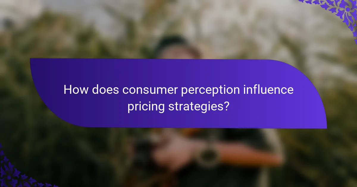 How does consumer perception influence pricing strategies?