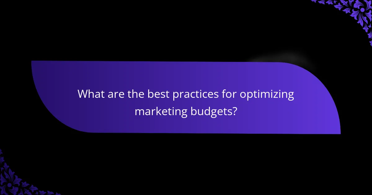 What are the best practices for optimizing marketing budgets?