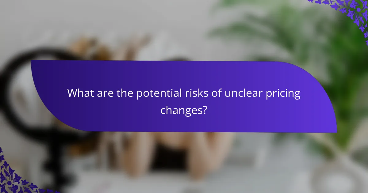 What are the potential risks of unclear pricing changes?